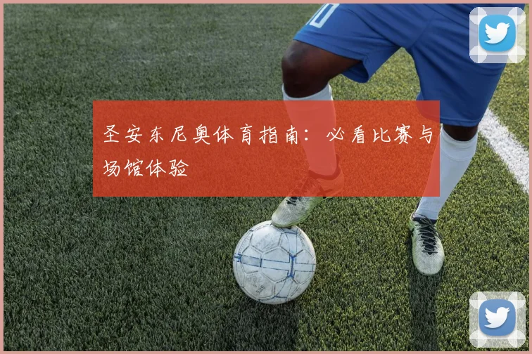 圣安东尼奥体育指南：必看比赛与场馆体验